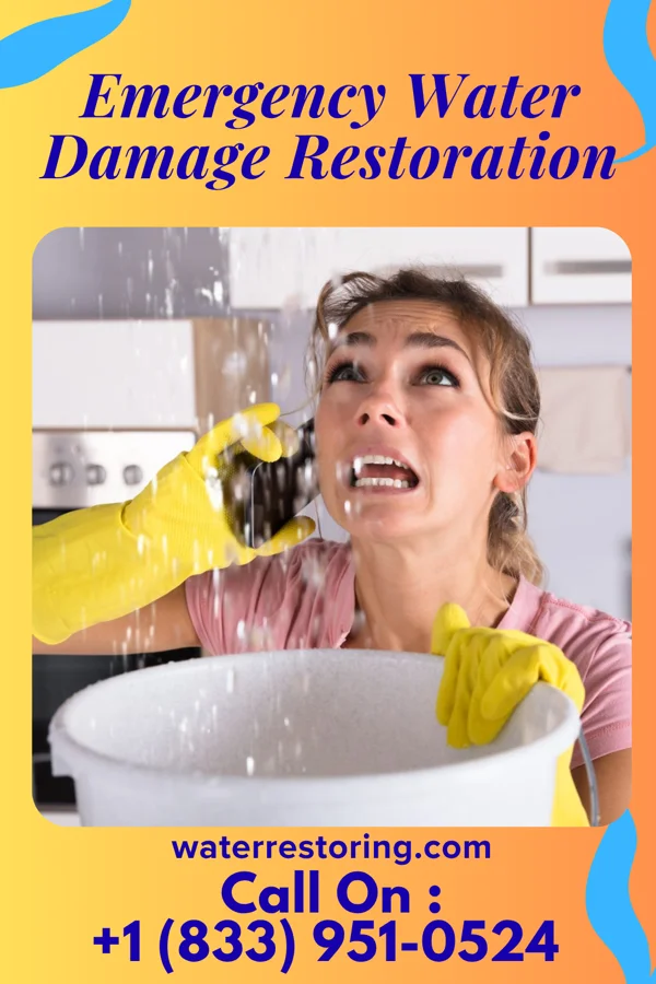 Emergency Water Damage Restoration in Brownsboro Farm, KY