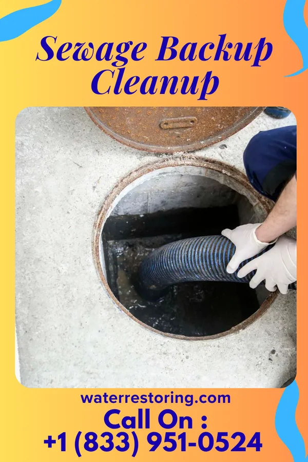 Sewage Backup Cleanup in Brownsboro Farm, KY