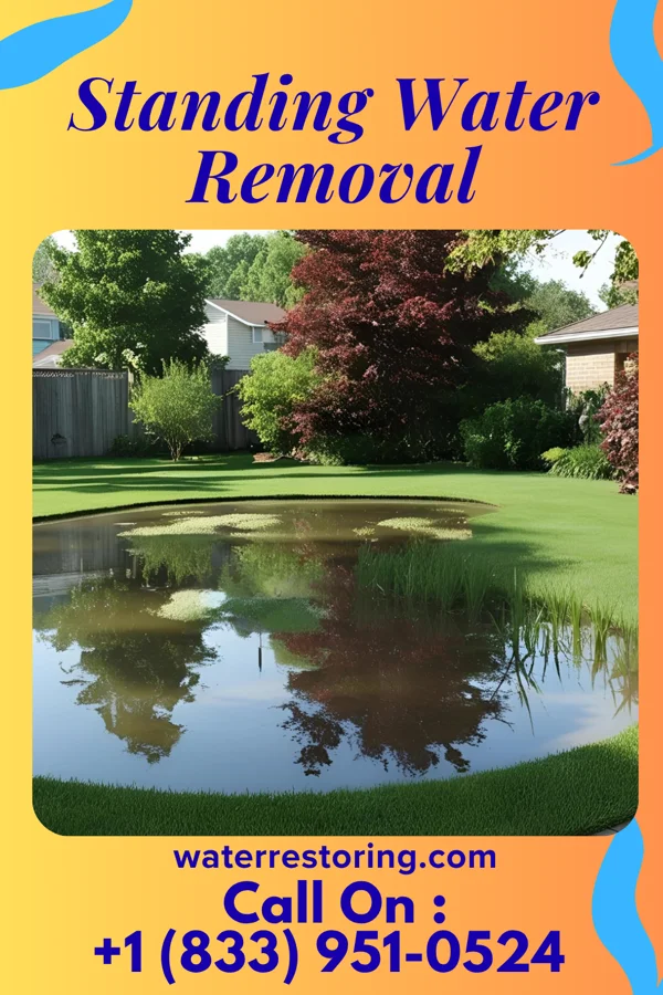 Standing Water Removal in Brownsboro Farm, KY